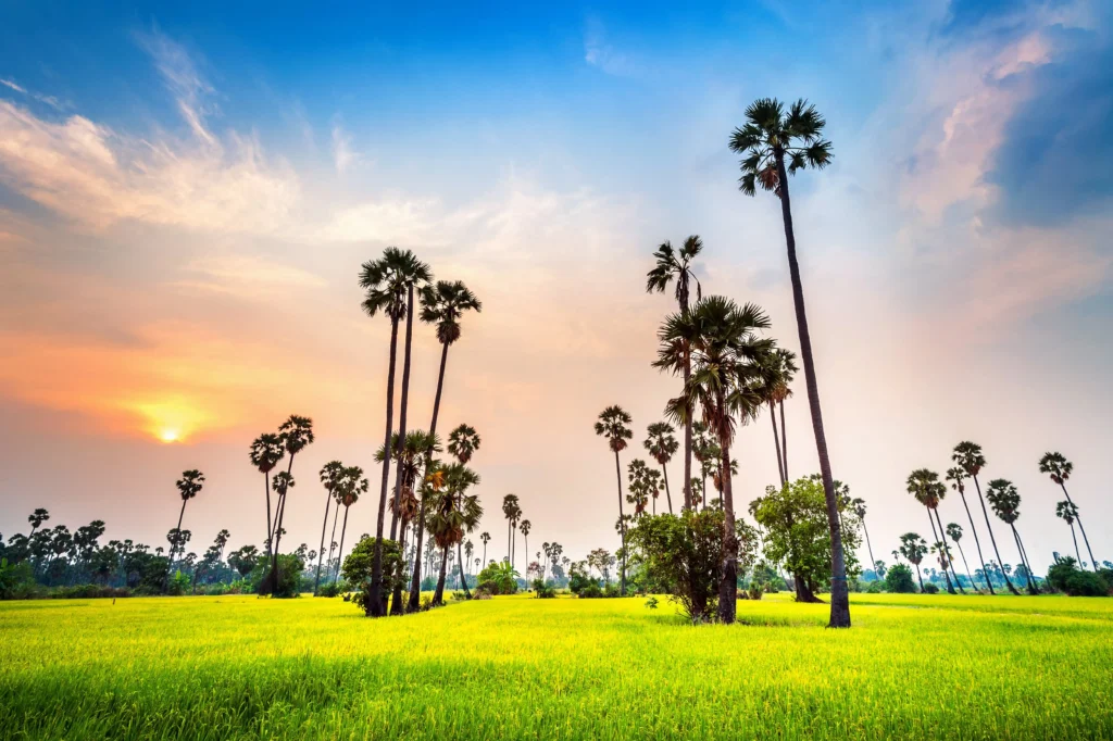 Bangladesh News